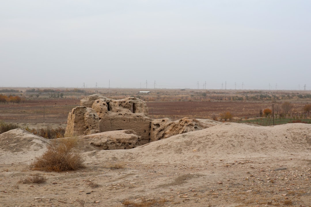 Amy Wroe Bechtel Disappearance