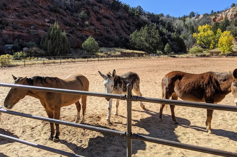 Best Friends Animal Sanctuary