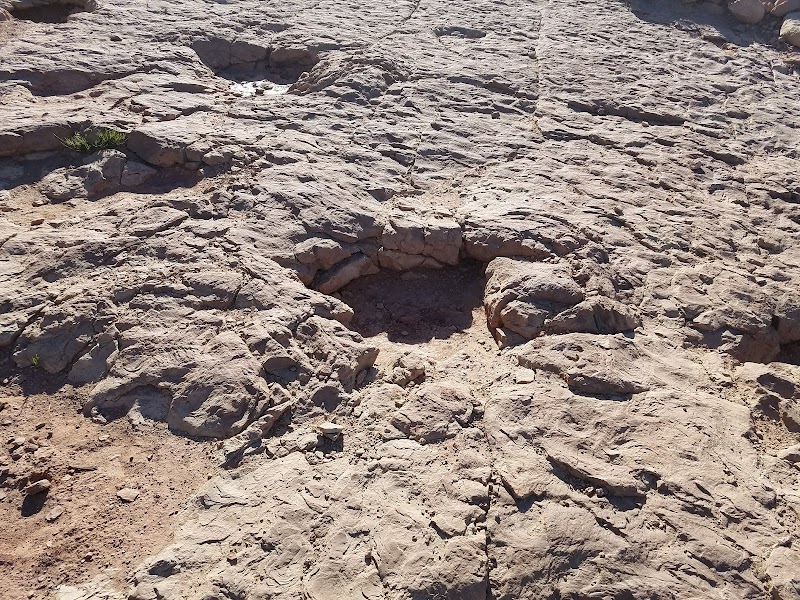 Copper Ridge Dinosaur Tracks