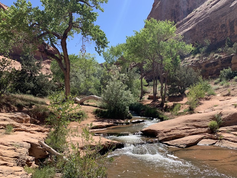 Mill Creek - Moab Area