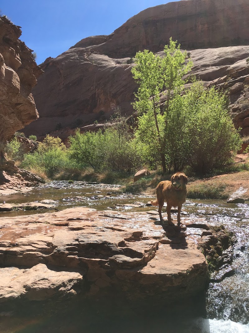Negro Bill Canyon Pools