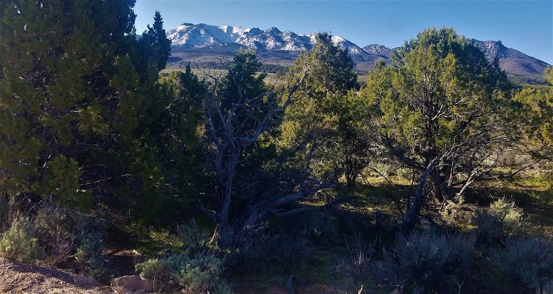 Pine Valley Mountains