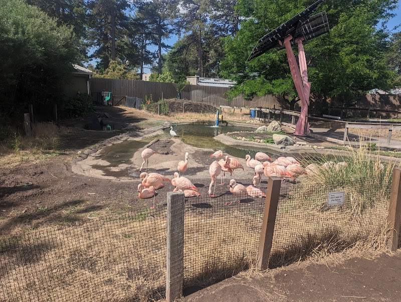 Tracy Aviary (at Liberty Park)