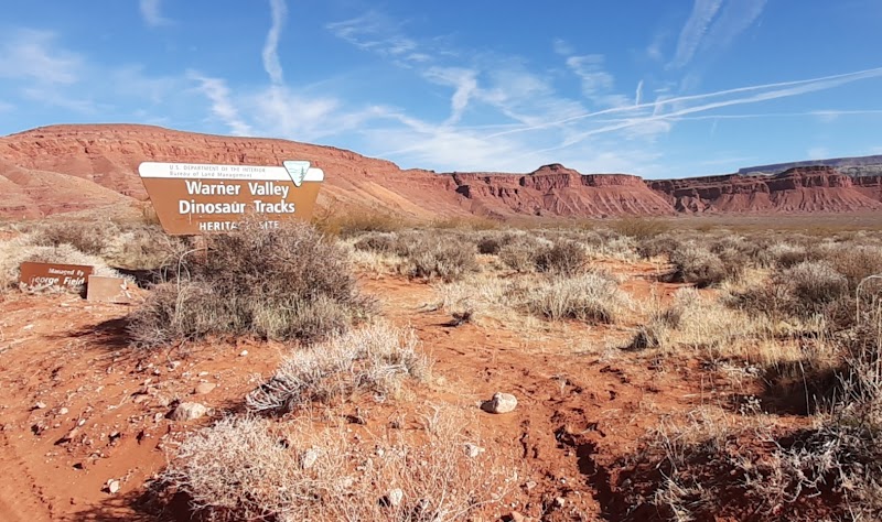 Warner Valley Dinosaur Tracks and Petroglyphs